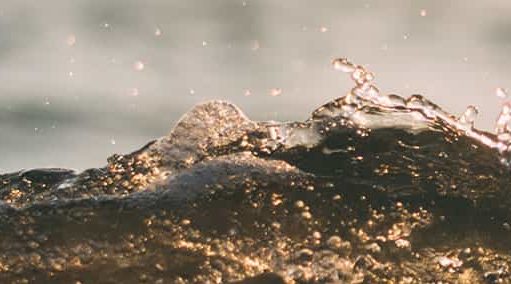 A través de las aguas