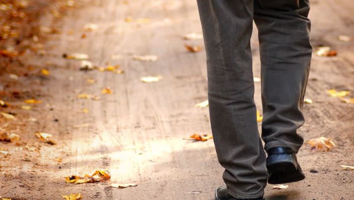 El Pastor en el camino