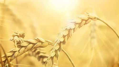 El hombre que no podía hablar