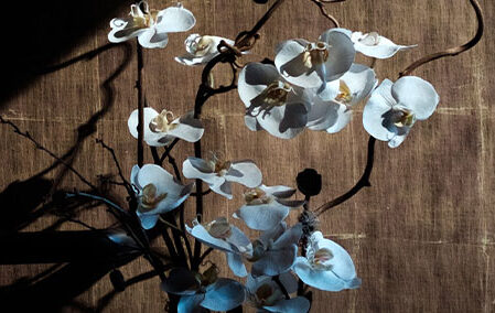 Confiar en Dios en la tristeza