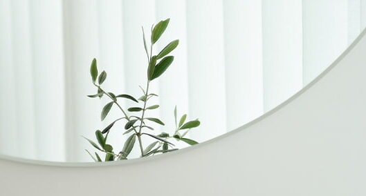 Amado, hermoso, talentoso