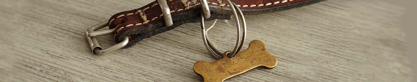 Nombres puestos por Dios