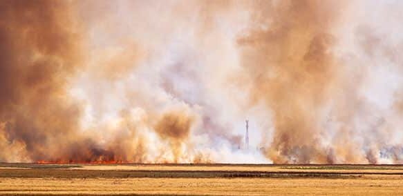 Fuego en el desierto