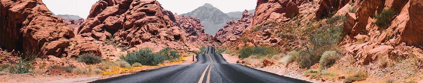 El camino largo