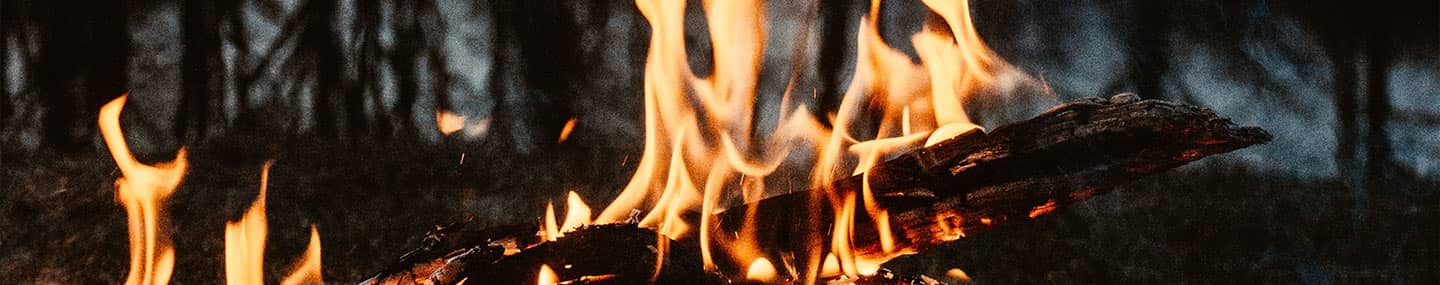 Dentro del fuego