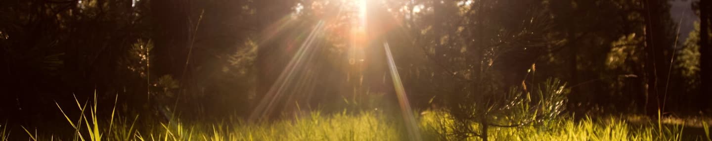 ¿Le importamos a alguien?