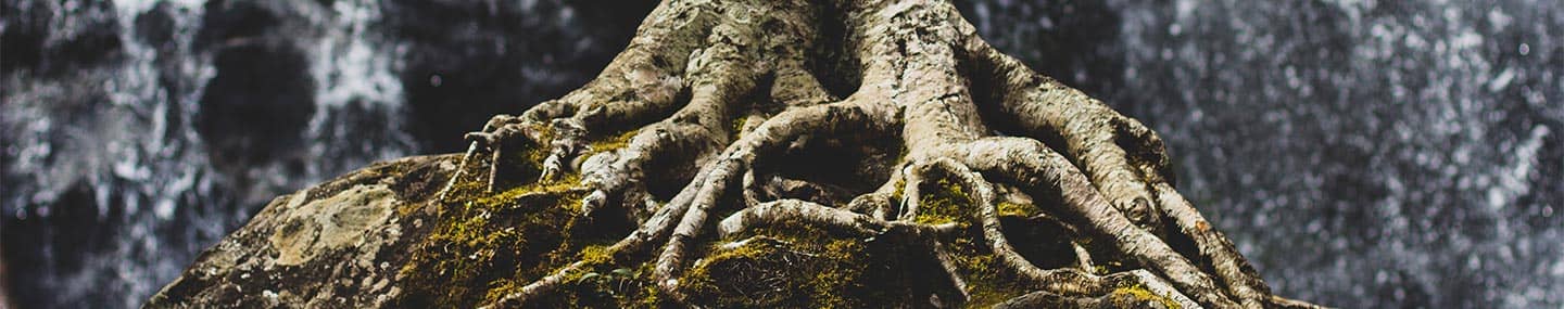 Sobrevivir a la sequía