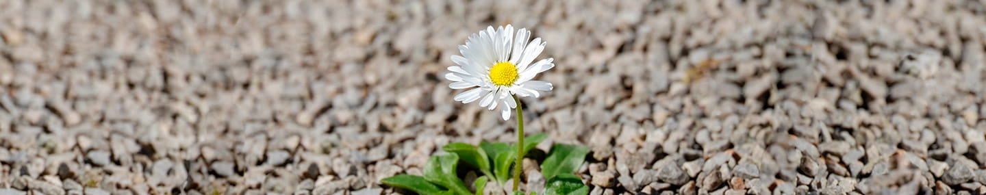 ¿Quién me necesita?