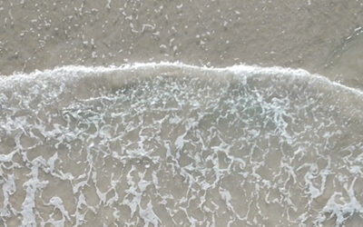 Confortado en la casa de Simón